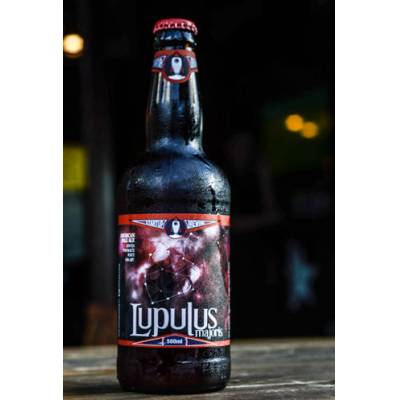 STARTUP LUPULUS MAJORIS APA 500ML